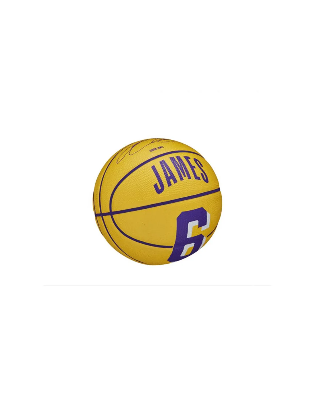 Ballon de basket Wilson Nba Player Icon Mini Lebron