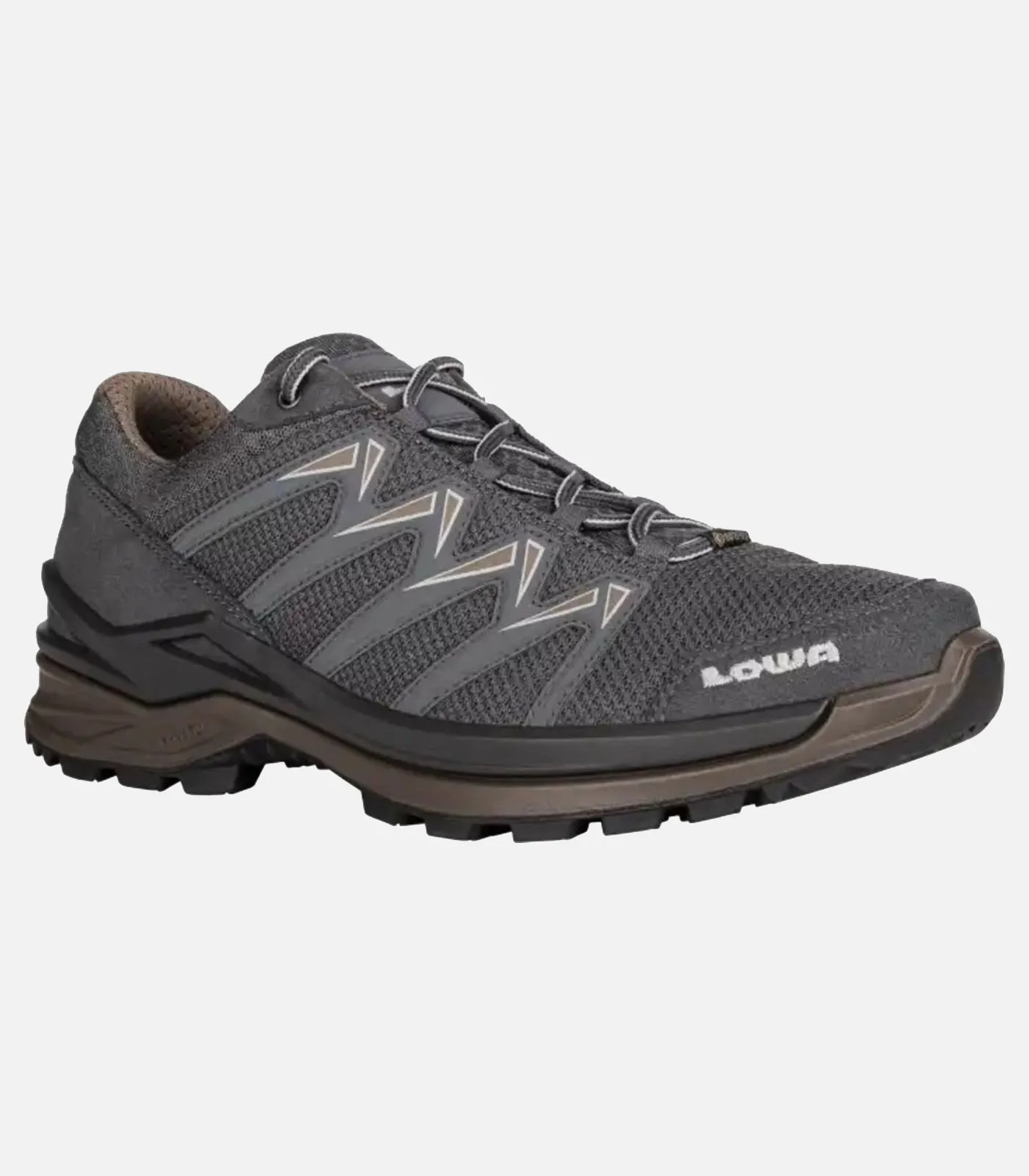 Chaussure de randonnée multi terrain homme LOWA